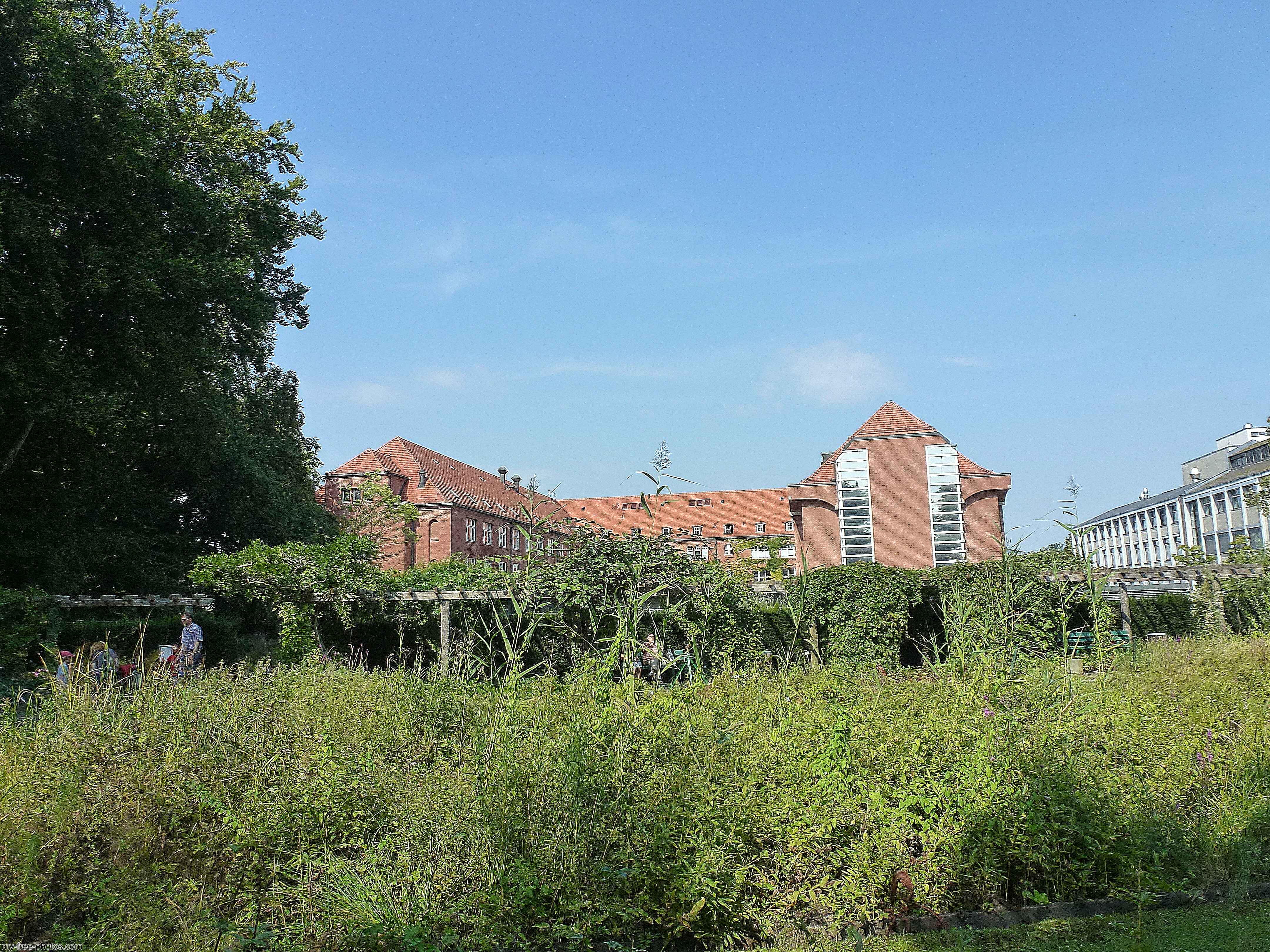 Botanical garden,Berlin
