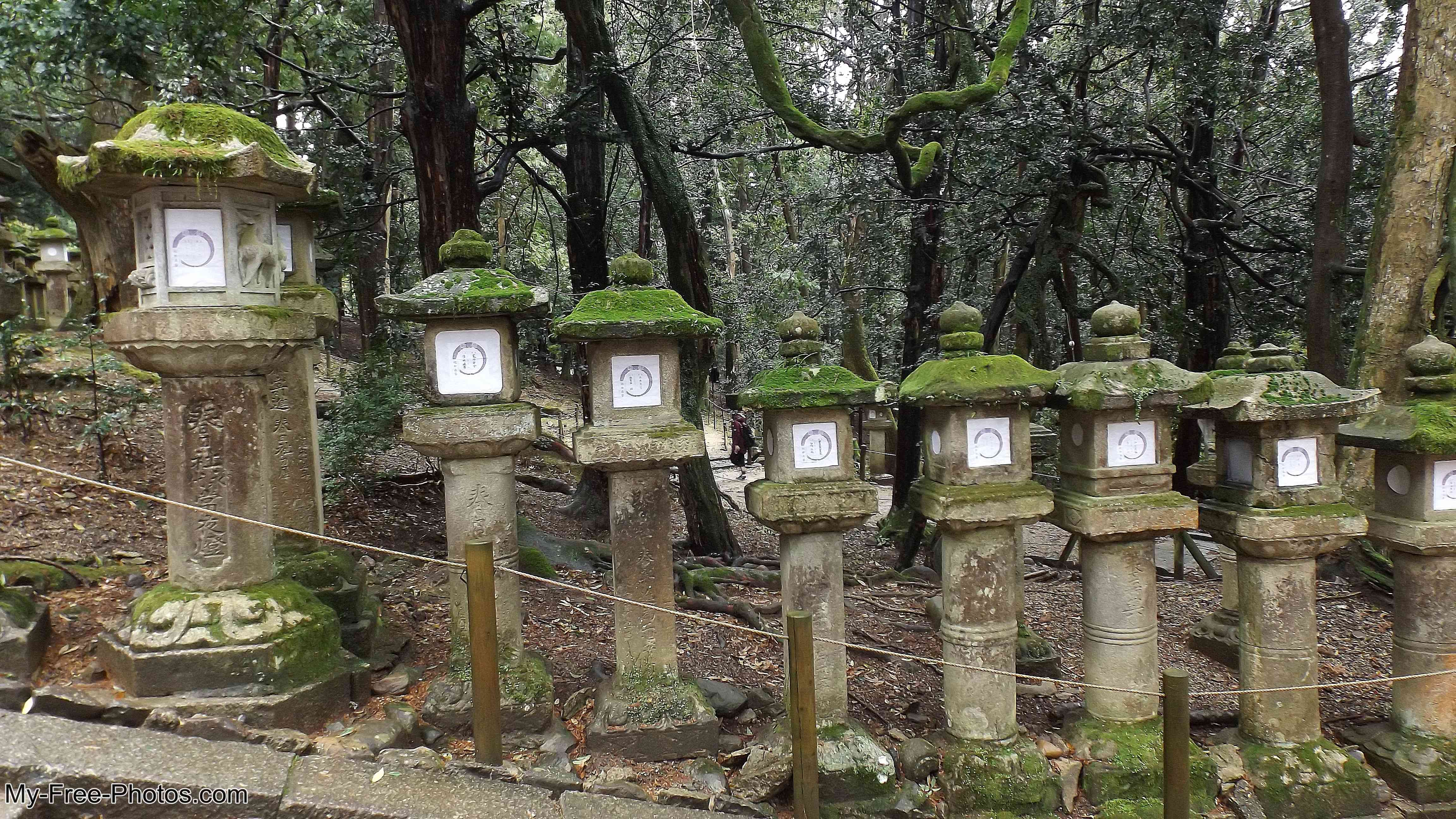 lanterns,Nara Japan