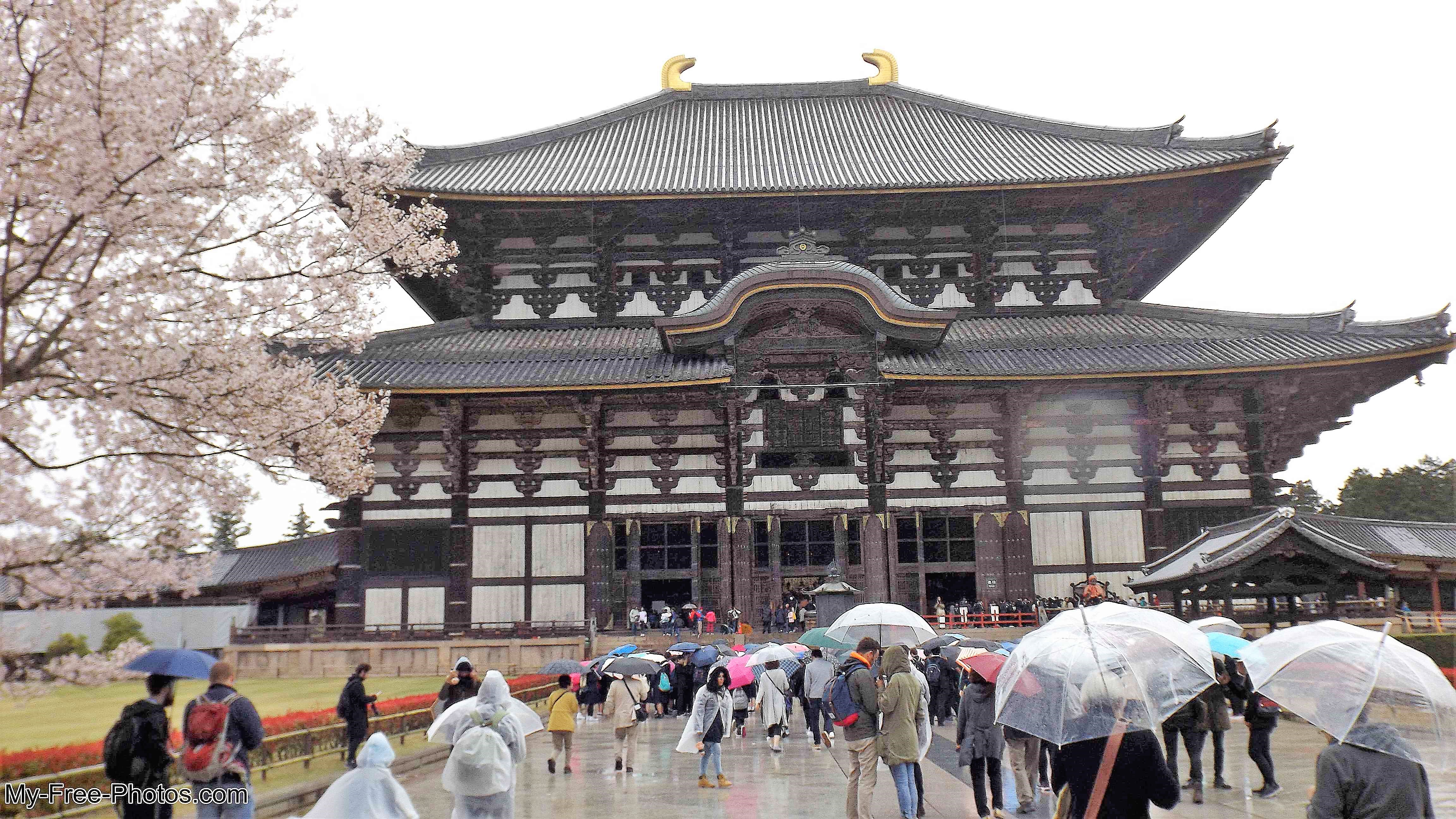 The Great Buddha Hall Nara Japan