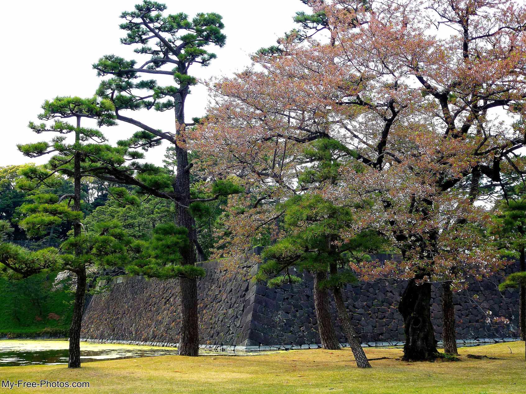 Tokyo palace moat