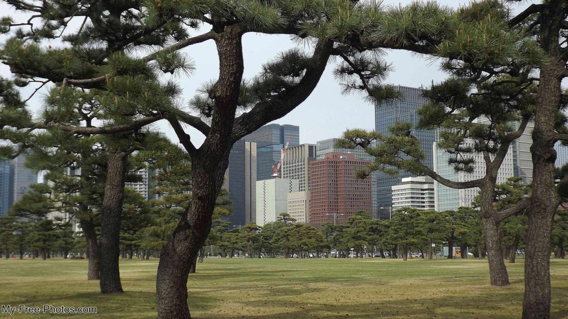 Kokyo Gaien National Gardens 