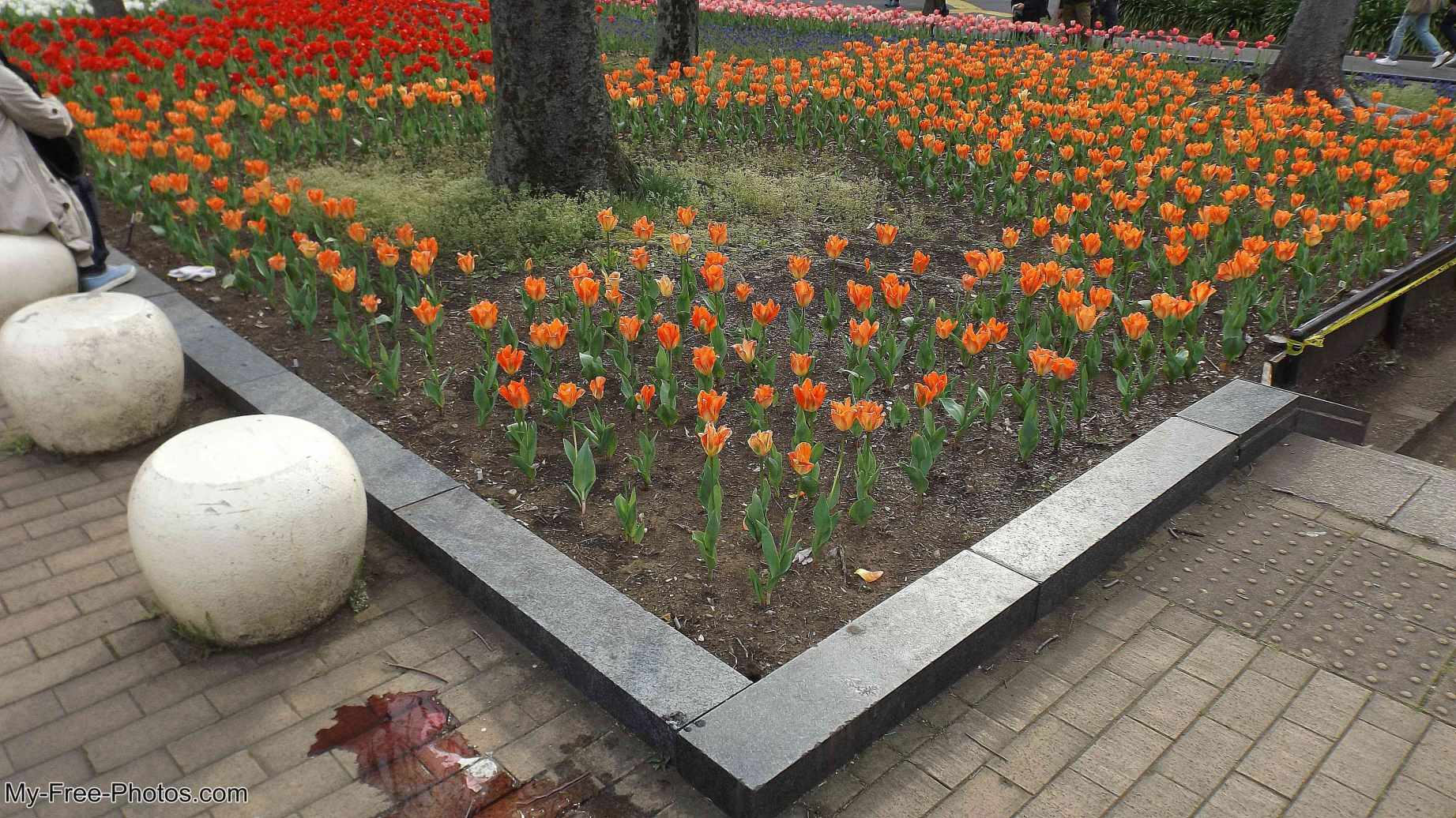 Tokyo Japan