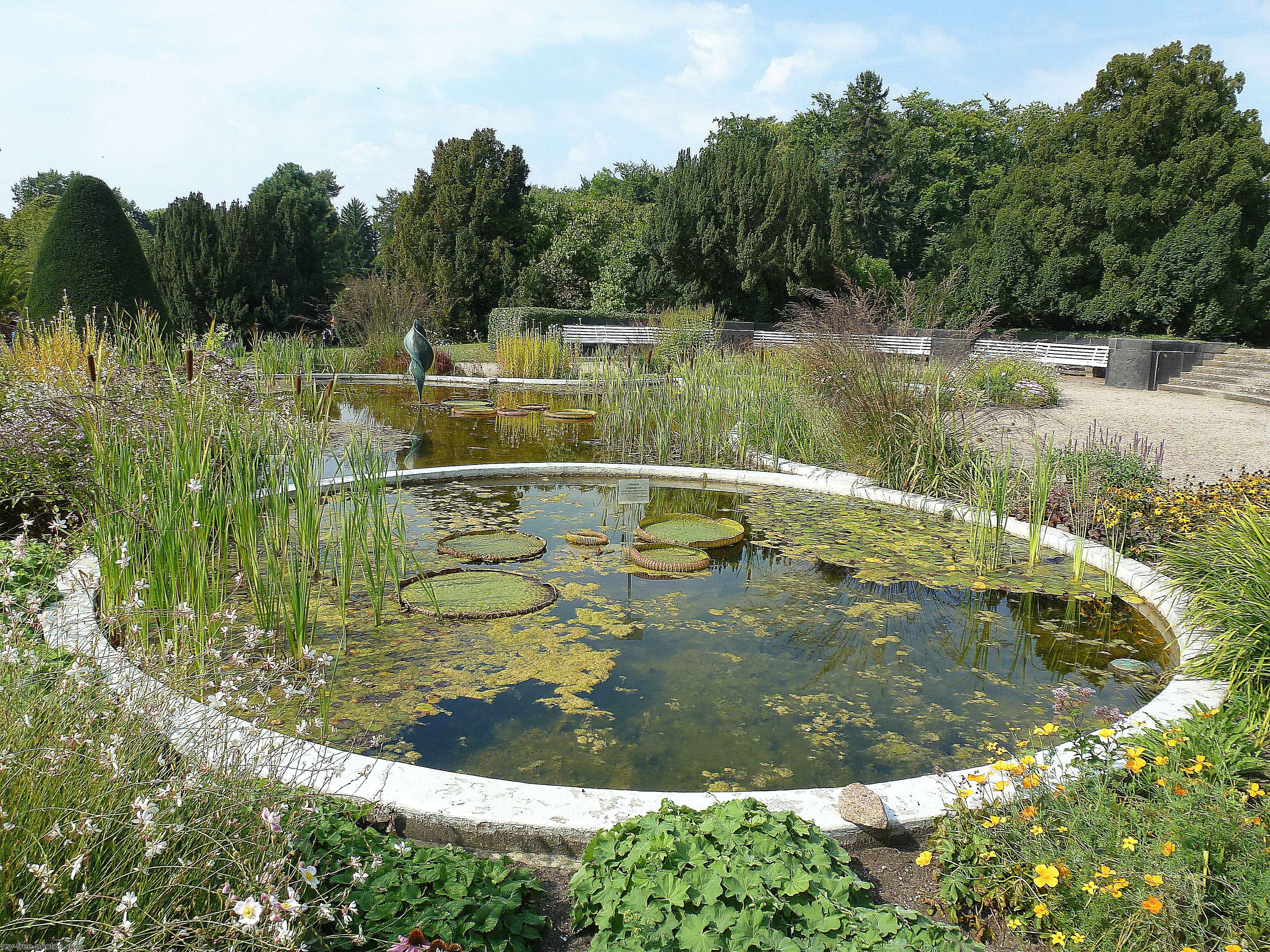 Botanical garden,Berlin