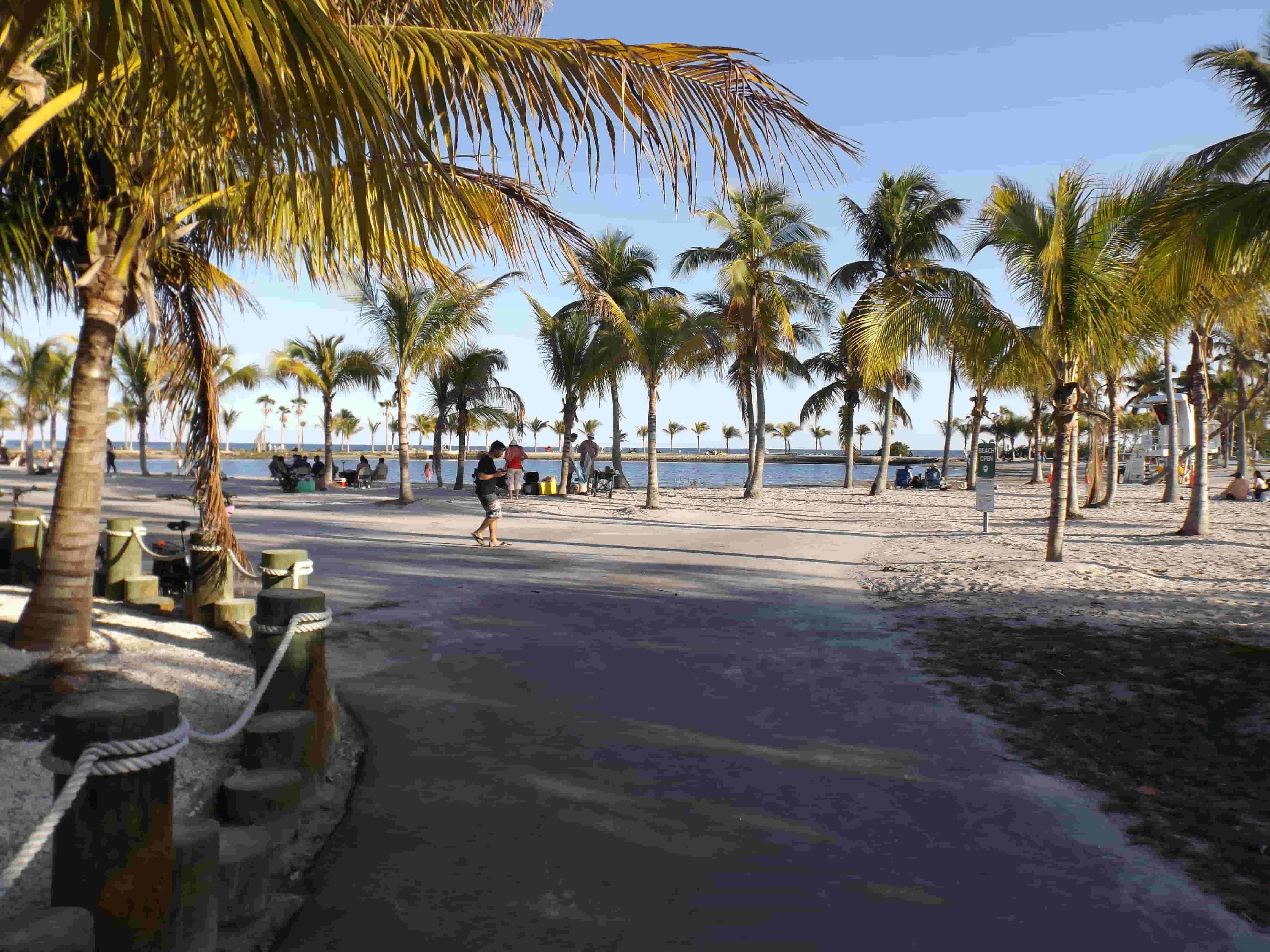 Matheson Hammock Park & Marina 