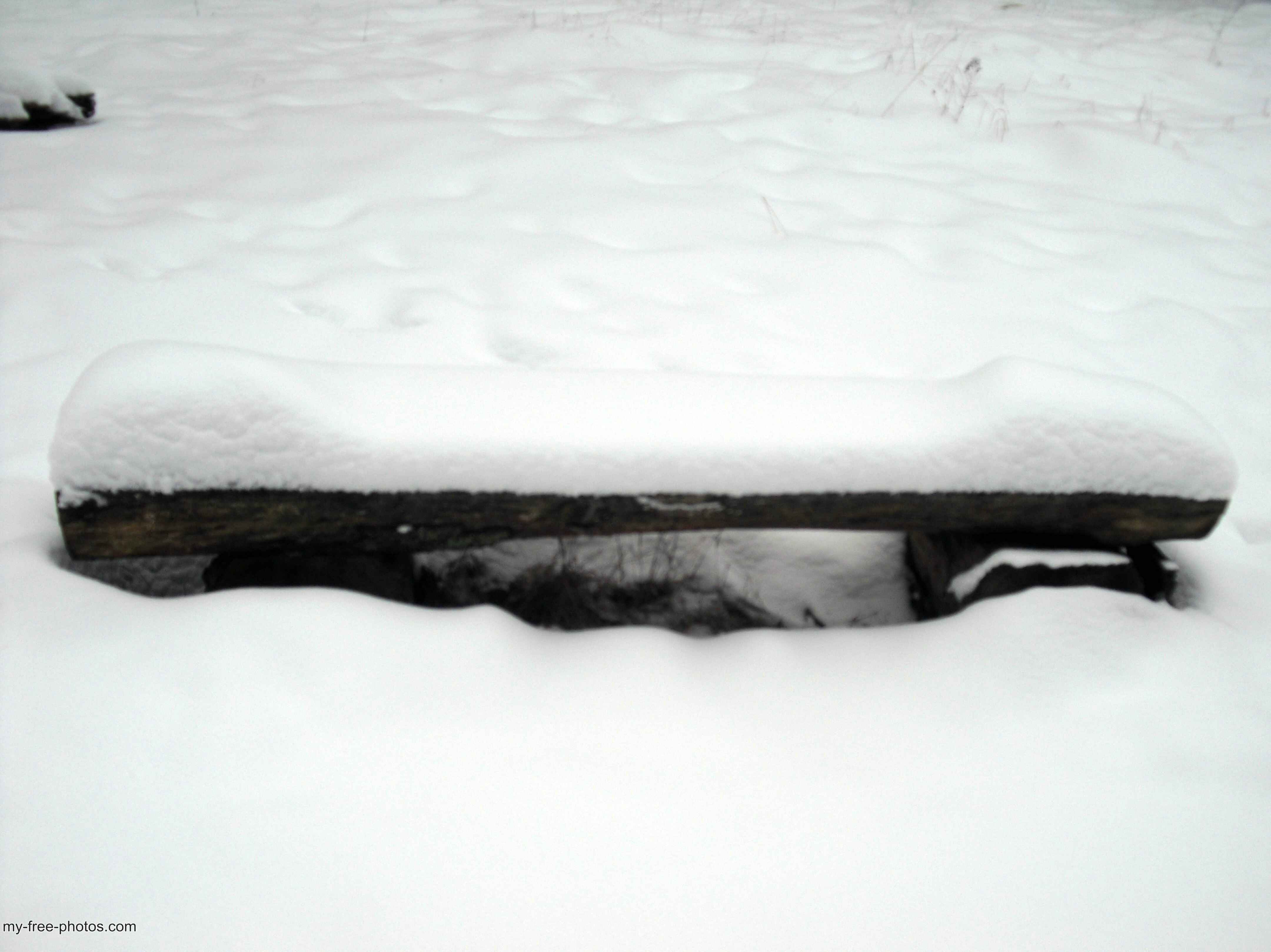 bench in snow