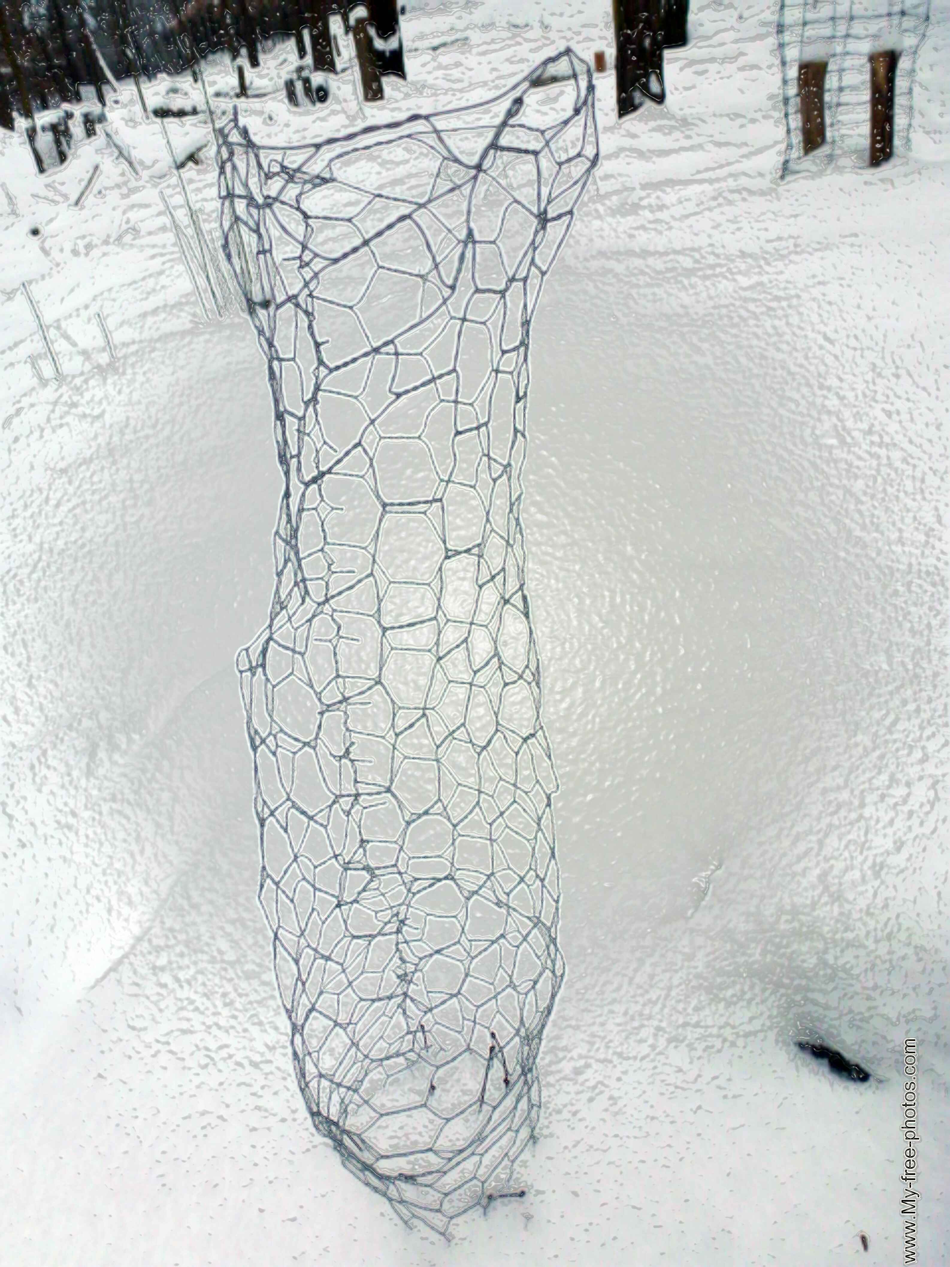 vase in snow